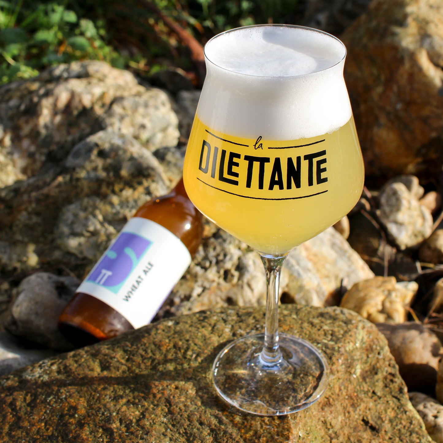 Wheat Ale - Collection n°5 La Dilettante